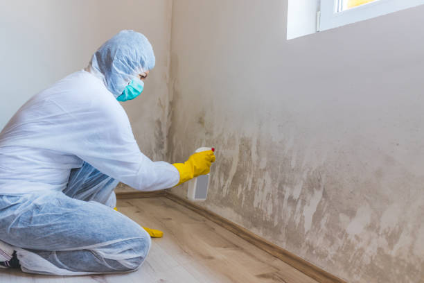 Licensed Commercial Mold Remediation service in Wilmington, IL - 24 Hour Mold Removal