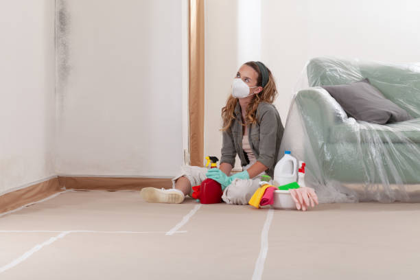 Reliable Commercial Mold Remediation contractor in Wilmington, IL by 24 Hour Mold Removal